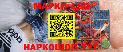 шишки Ставрополь