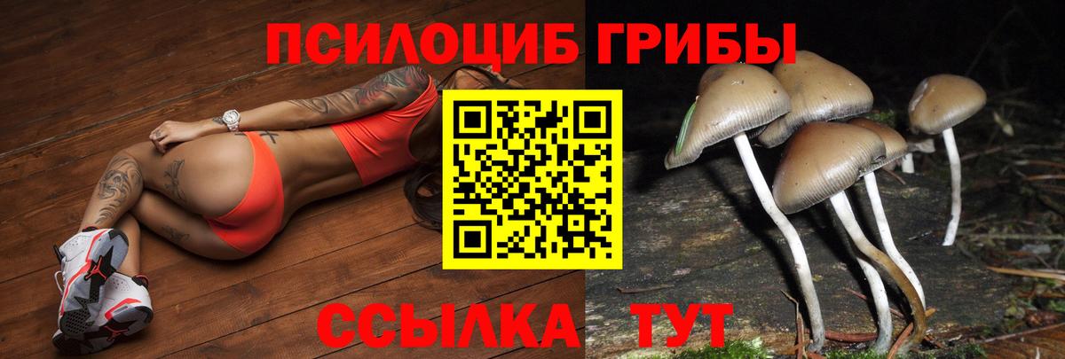 Мурино  Псилоцибиновые грибы MAGIC MUSHROOMS  Вход с VPN 
