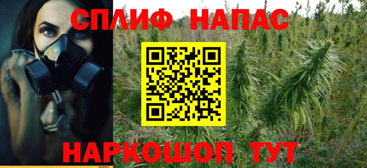 Шишки марихуана THC 21%  Бошки марихуана конопля  Конопля White Widow  Вход с VPN  Мурино  Конопля гибрид 